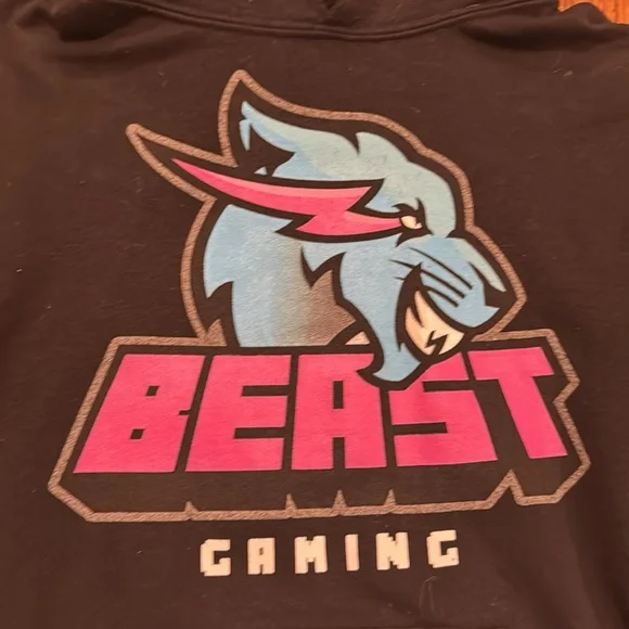 Mr Beast - Picture 2 of 3